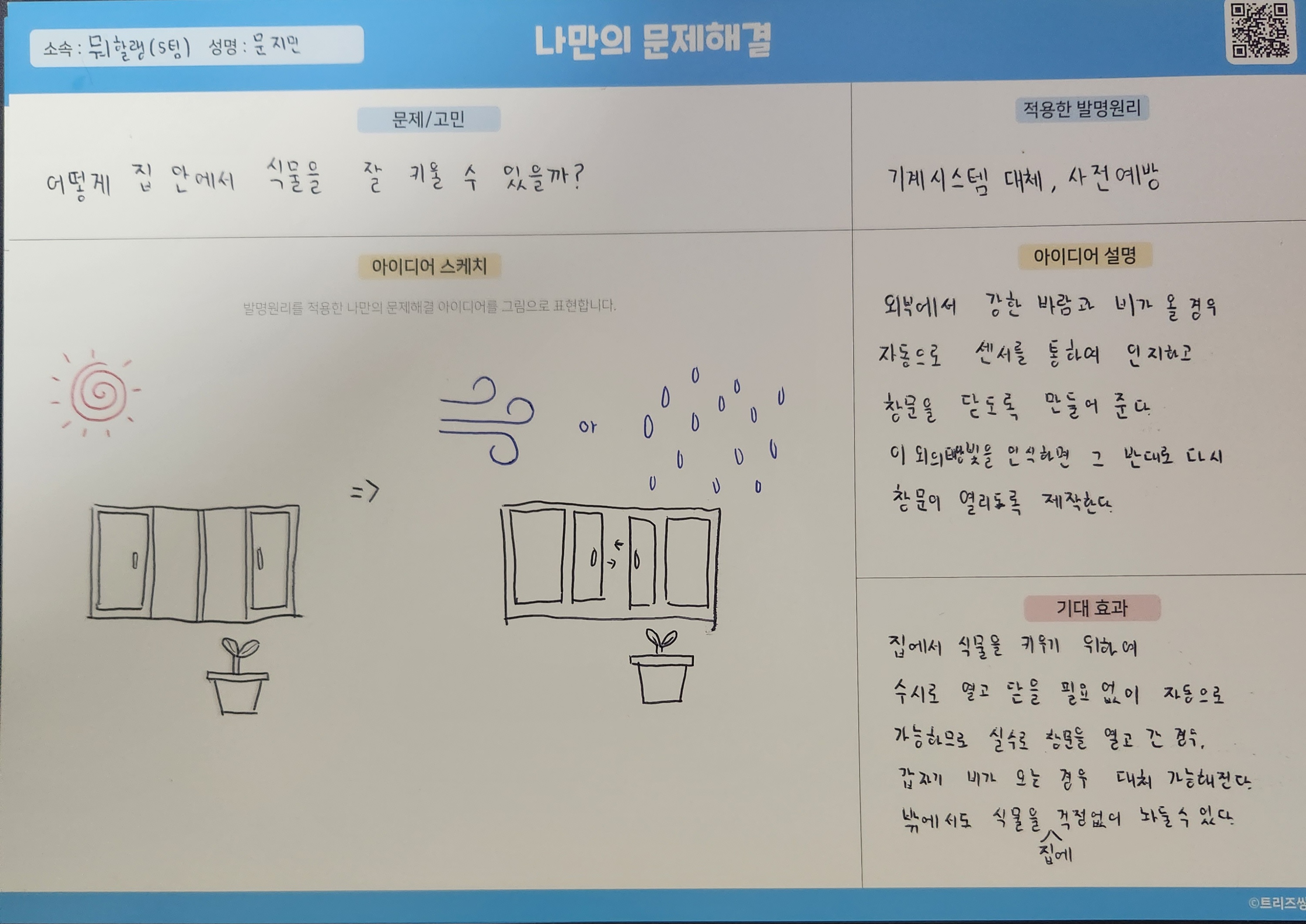 어떻게 집 안에서 식물을 잘 키울 수 있을까?